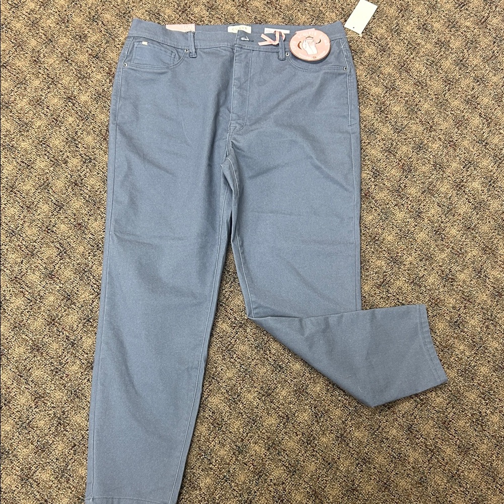 Curve Appeal Jeggings Blue Pants
